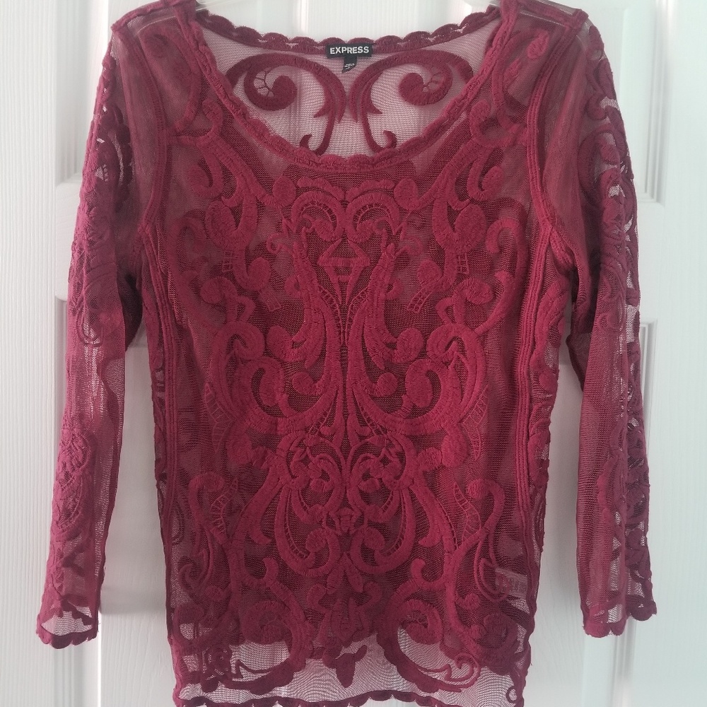 Express Embroided Lace Mesh Top - Picture 2 of 5